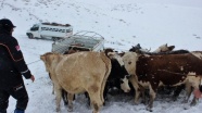 Karda mahsur kalan iki çoban ve sürü kurtarıldı