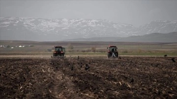 Karların eridiği Kars'ta çiftçiler yem bitkisi ekim mesaisinde