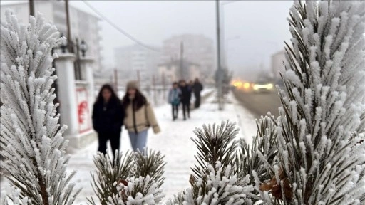 Kars, Ardahan ve Ağrı'da dondurucu soğuklar etkisini s&uuml;rd&uuml;r&uuml;yor