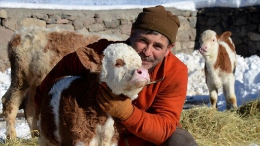 Kars'ta besiciler sıfırın altında 10 derecede zorlu mesai yapıyor