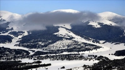 Kars'ta beyaza b&uuml;r&uuml;nen sarı&ccedil;am ormanları dronla g&ouml;r&uuml;nt&uuml;lendi