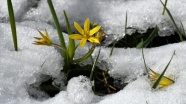 Kars&#039;ta etkili olan kar güzel görüntüler oluşturdu