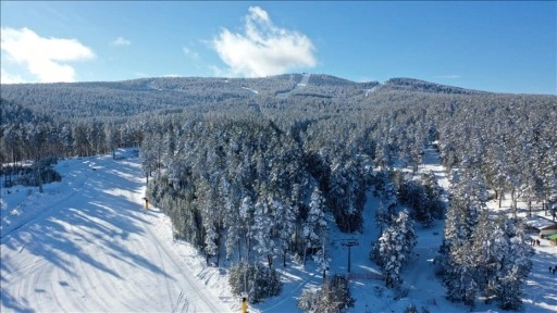 Kars'ta etkili olan kar yağışı sarıçam ormanlarını beyaza bürüdü