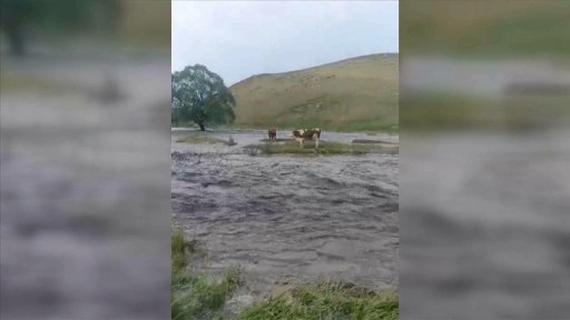 Kars'ta etkili olan sağanak sele dönüştü