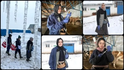 Kars'ta kadın veterinerler hayvan sağlığı i&ccedil;in kar kış demeden sahada