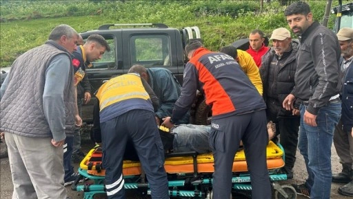 Kars'ta yıldırım isabet eden çoban yaralandı
