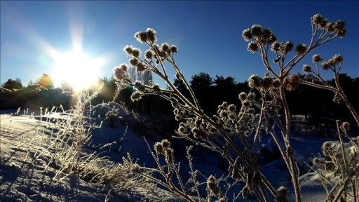 Kars ve Ardahan'da soğuk hava etkisini s&uuml;rd&uuml;r&uuml;yor
