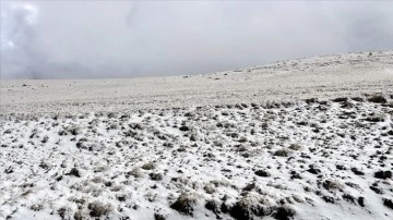 Kars ve Ardahan'ın yüksek kesimlerinde kar etkili oldu