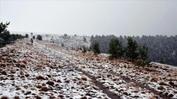 Kars'ın yüksek kesimleri mevsimin ilk karıyla beyaza büründü