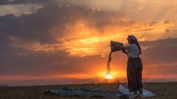 Karslı kadınlar rüzgara karşı "tahıl savurma" mesaisinde