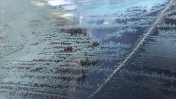 Kars'ta araç camları buzla kaplandı, bitkiler kırağı tuttu