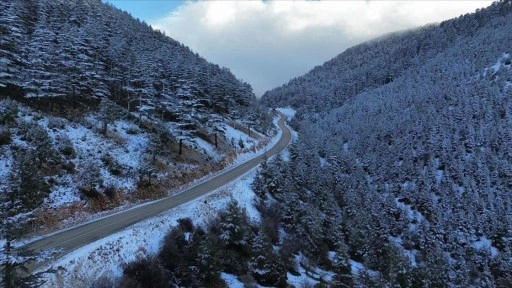 Kaş'ta karla kaplanan orman g&uuml;zel g&ouml;r&uuml;nt&uuml; oluşturdu