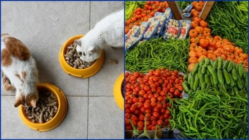 Kasımda fiyatı en çok artan evcil hayvanlarla ilgili ürünler, en fazla düşen taze sebzeler oldu