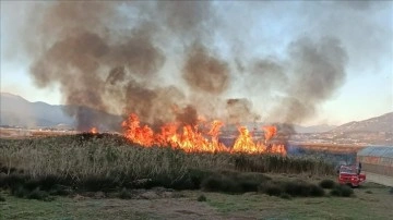 Kaş'ta sazlık alanda çıkan yangına müdahale ediliyor