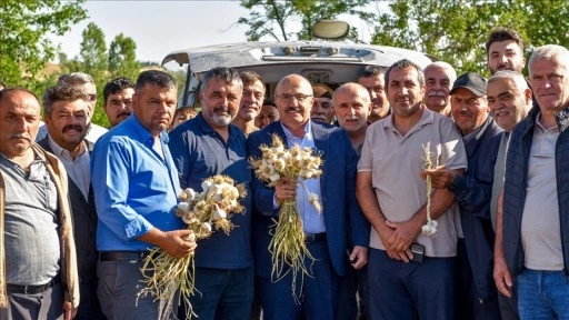 Kastamonu'da hasadın ardından Taşköprü Sarımsak Pazarı açıldı