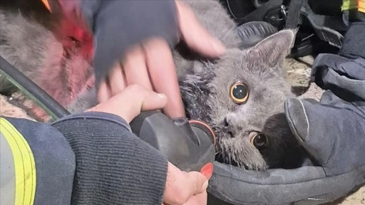 Kastamonu'da itfaiye ekipleri yangından kurtardıkları kediye kendi maskelerinden oksijen verdi