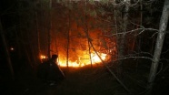 Kastamonu&#039;da ormanlık alanda çıkan yangın kontrol altına alındı