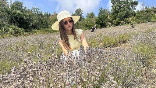 Kastamonu'da turizmcinin atıl tarlasına kurduğu lavanta bahçesinde hasat şöleni yapıldı