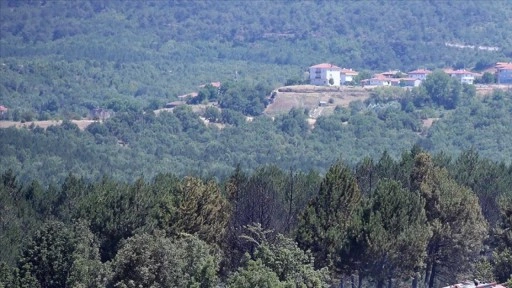 Kastamonu için yüksek sıcaklık ve orman yangını uyarısı