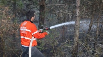 Kastamonu'da çıkan orman yangını kontrol altına alındı