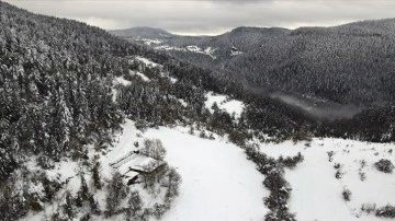 Kastamonu'da kar yağışı sonrası ormanlar dronla görüntülendi