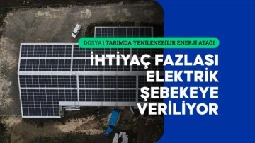 Kastamonu'da sarımsak fabrikasının enerjisi güneşten karşılanıyor