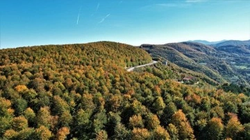 Kastamonu'nun Karadeniz'in mavisiyle bütünleşen ormanlarında sonbahar manzaraları hüküm sü