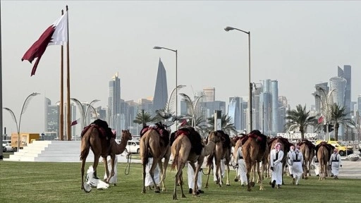 Katar&rsquo;da, g&uuml;nl&uuml;k "deve ge&ccedil;idi" geleneği devam ediyor