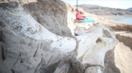 Kayseri&#039;de bulunan mamut fosili basına tanıtıldı