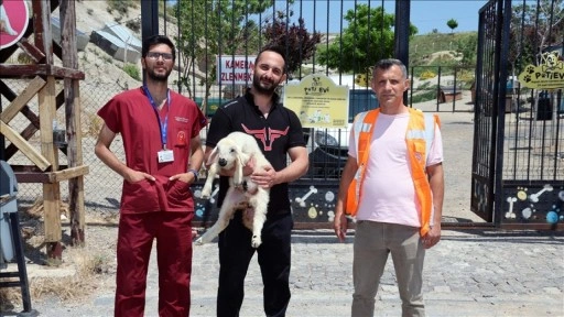 Kayseri'de koyun ve kuzularını kaybeden besici, belediye sayesinde hayvanlarına kavuştu