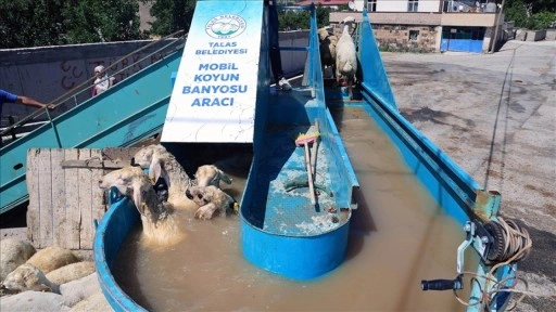 Kayseri'de küçükbaş hayvanlar keneye karşı "mobil banyo" ile dezenfekte ediliyor