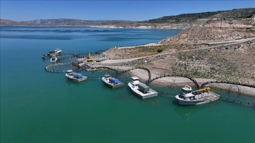 Kayseri'den ada ülkelerinin de yer aldığı 49 ülkeye balık ihracatı