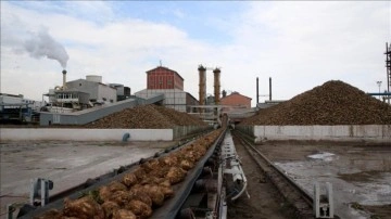 Kayseri Şeker 6 ildeki pancar sahasından 3 milyon tonun üzerinde rekolte bekliyor