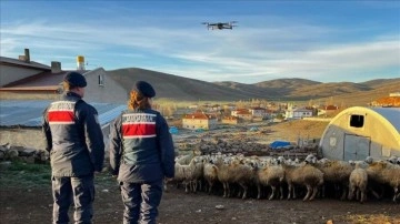 Kayseri'de kaybolan 150 küçükbaş hayvan dron yardımıyla bulundu