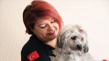 Kazada yaralanan Çekyalı çiftin köpeği Emine hemşireye emanet