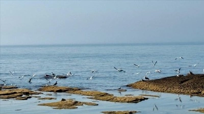 Kazakistan, su seviyesi d&uuml;şen Hazar Denizi i&ccedil;in 2 milyon dolardan fazla kaynak ayırdı