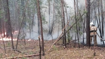 Kazakistan’da orman yangınıyla mücadele 7. gününde sürüyor