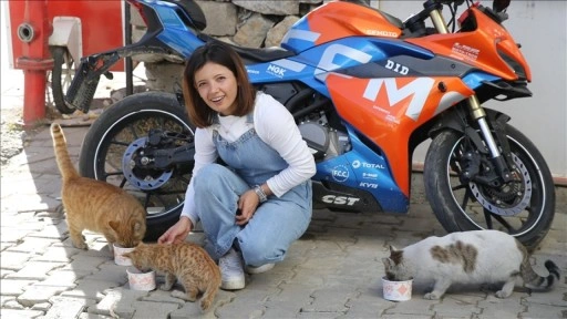 Kazanda pişirdiği etlerle sahipsiz kedileri besliyor