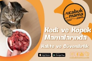Kedi ve K&ouml;pek Mamalarında Kalite ve G&uuml;venilirlik
