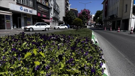 Kent peyzajı iklim değişikliğinde etken rol oynuyor