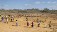 Kenya'da kuraklık nedeniyle ulusal afet ilan edildi
