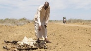 Kenya&#39;da vahşi hayat, kuraklık tehdidi altında