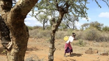 Kenya, kuraklık gerekçesiyle GDO'lu gıdaya izin verdi