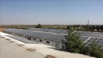 Kilis'te devlet desteğiyle tesisinin çatısına GES kuran üretici, enerji maliyetini sıfırladı