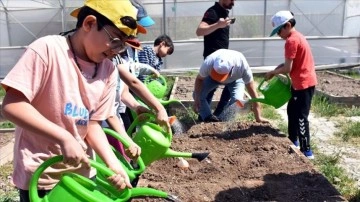 Kırıkkale'de öğrenciler 'Çocuk Tarım Akademisi' ile toprağa dokunuyor