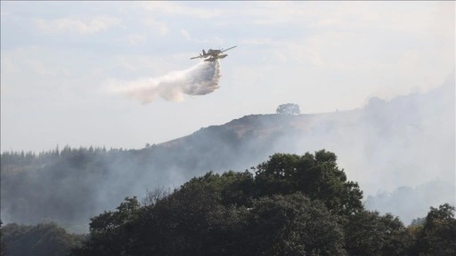 Kırklareli'nde orman yangınına havadan ve karadan müdahale ediliyor