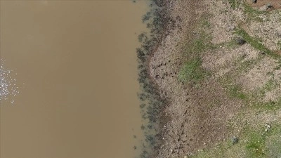Kırklareli'nde Taşlık G&ouml;leti'nin doluluk oranı yağışlarla arttı
