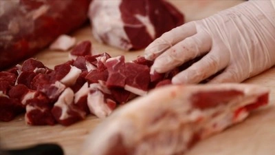 Kırmızı ette arz g&uuml;venliği i&ccedil;in yerli &uuml;retimin desteklenmesi &ouml;nem taşıyor