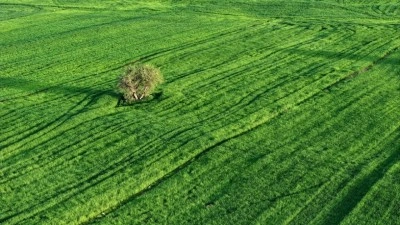 Kırsal kalkınma ve sulama desteklerine ilişkin başvuru s&uuml;resi 30 Haziran'a uzatıldı