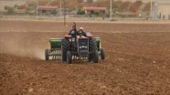 Kırşehir'de kuraklığa dayanıklılığının tespiti için 35 çeşit arpa ve buğdayın deneme ekimi yapı